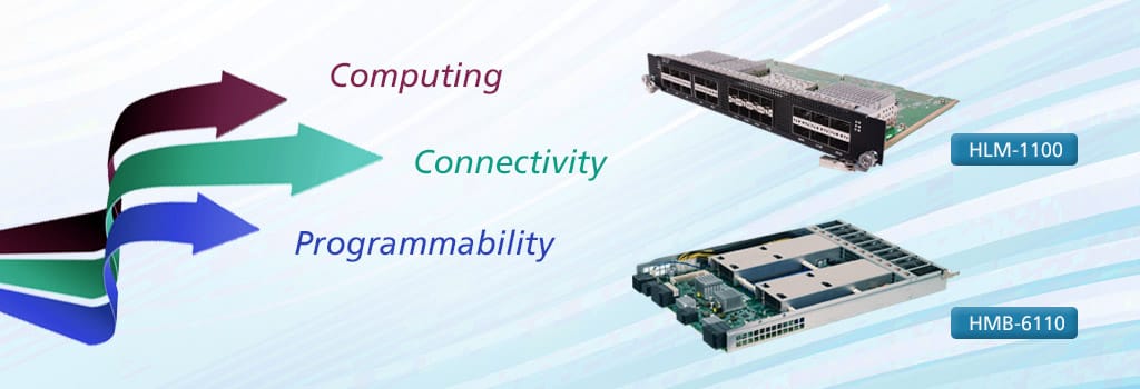 Expanding the Potential of Scalable MEC with New Compute and P4 Switch Blade
