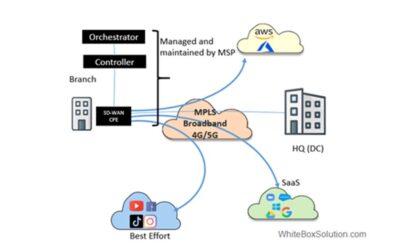 Managed SD-WAN vs. DIY SD-WAN, and the winner is…
